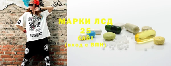 индика Магас