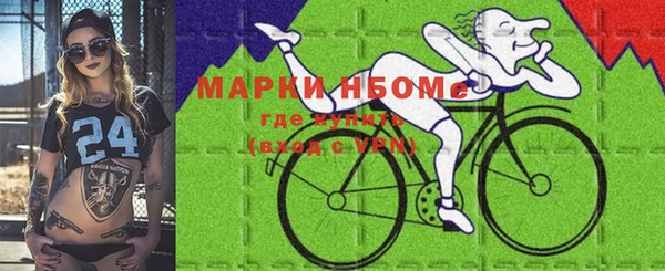индика Магас