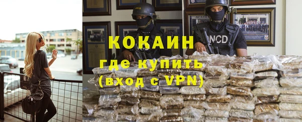 индика Магас