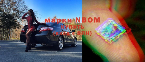 индика Магас