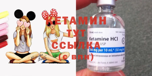 индика Магас