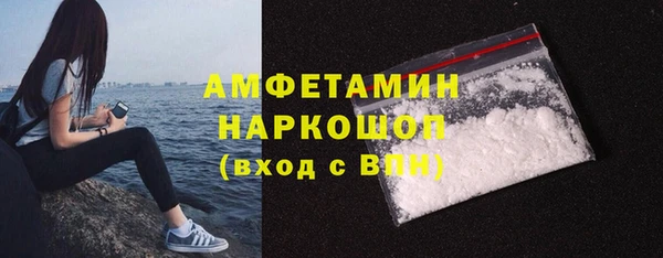 индика Магас