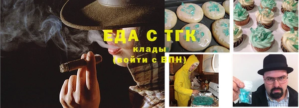 индика Березники