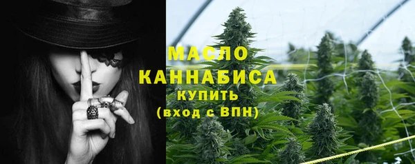 индика Магас