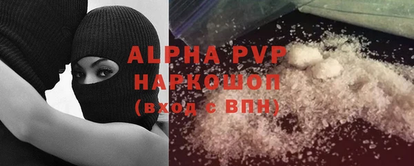индика Магас